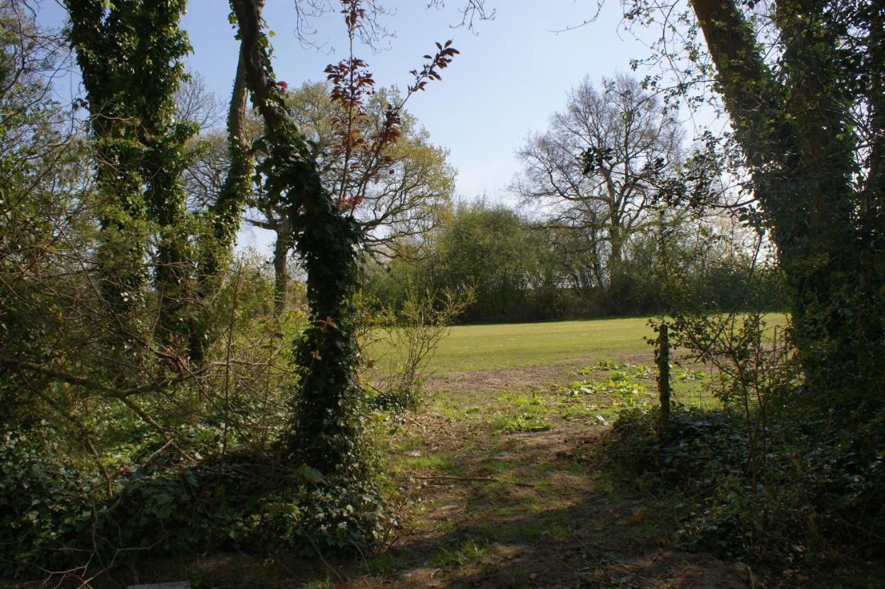 Spacious 4 Bed Family Cottage In Parkland Setting York Bagian luar foto